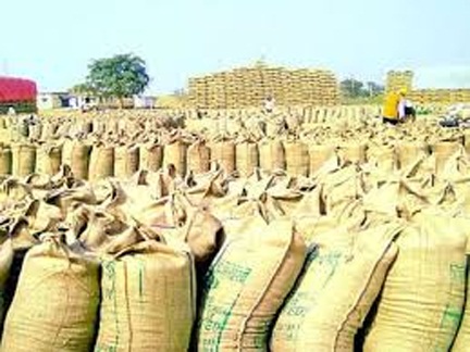 धान खरीदी का अनुमान 70 से बढ़ाकर 78 लाख मीट्रिक टन: केंद्र सरकार का बड़ा निर्णय, प्रदेश के किसानों को मिलेगा लाभ