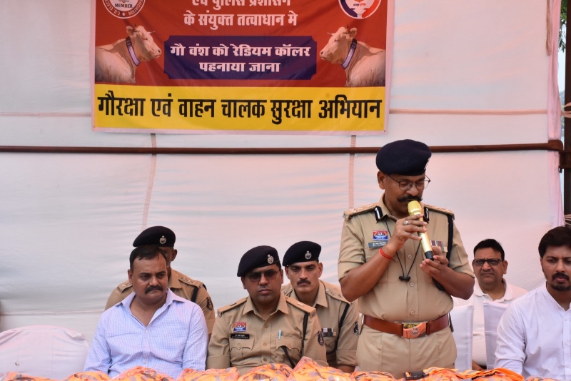 मवेशियों के कारण होने वाले दुर्घटनाओं की रोकथाम हेतु पुलिस का गौरक्षा एवं वाहन चालक सुरक्षा’’अभियान