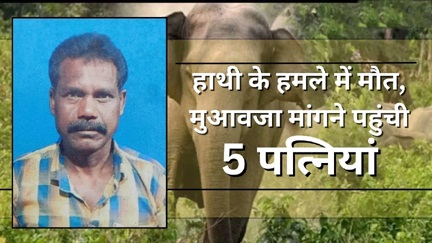 हाथी के हमले में मौत के बाद मुआवजे पर दावा करने के लिए 5 महिलाएं सामने आ गई