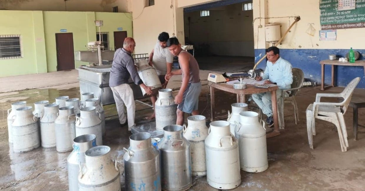 श्वेत क्रांति से संवरती ग्रामीण तकदीर: धमतरी में सहकारिता और महिला नेतृत्व से लिखी जा रही आत्मनिर्भरता की नई गाथा धान के कटोरे से डेयरी हब बनने तक का सफर